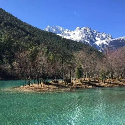 Rahim Pardesi avatar